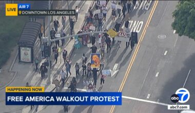 Hundreds of protesters gather in DTLA for nationwide 'Free America Walkout' marking start of Trump's 2nd term