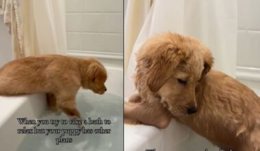 Yahoo lifestyle home