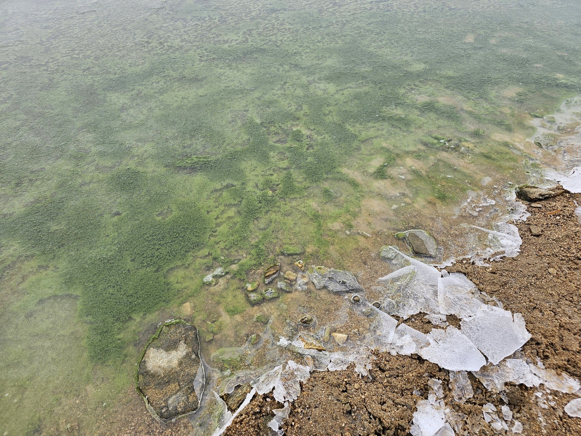 Zelený Led Na Lipně, Prosinec 2025