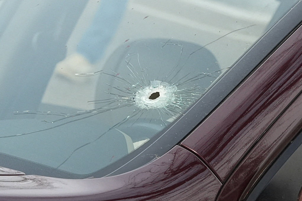 Fatal shooting of Renee Nicole Good, by a U.S. immigration agent, in Minneapolis