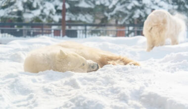 Yahoo lifestyle home