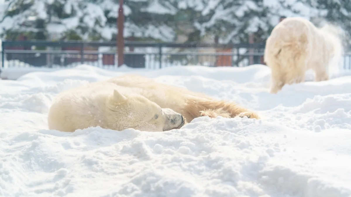 Yahoo lifestyle home