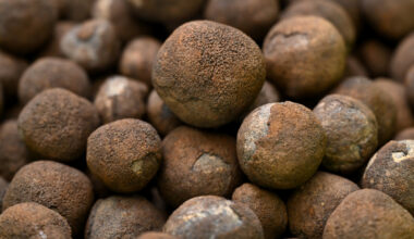 Trump official: Deep-sea mining just years away