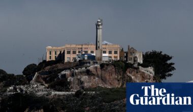 Coyote stuns observers by braving rough waters to swim to Alcatraz | San Francisco