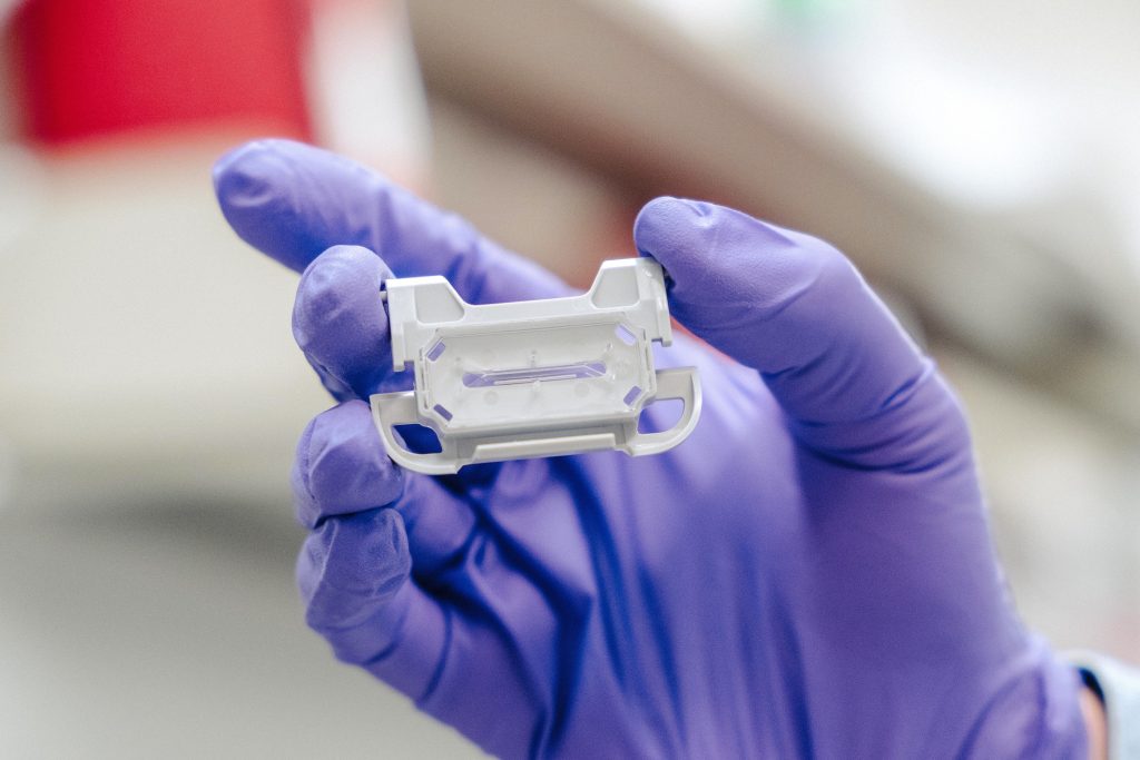 Photo of a brain-on-a-chip