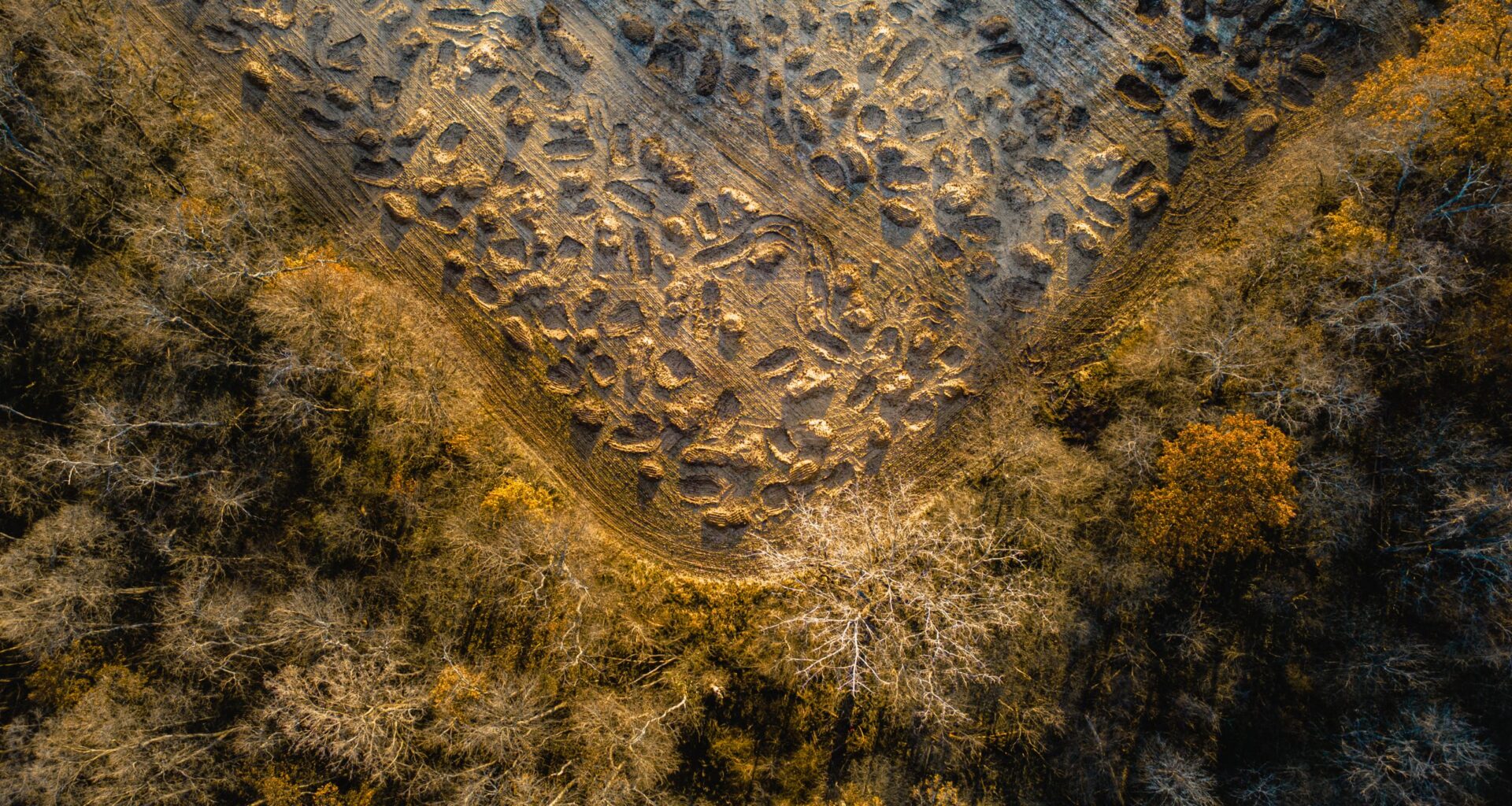 Oxbow Woods restoration project helps nature thrive