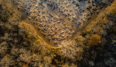 Oxbow Woods restoration project helps nature thrive