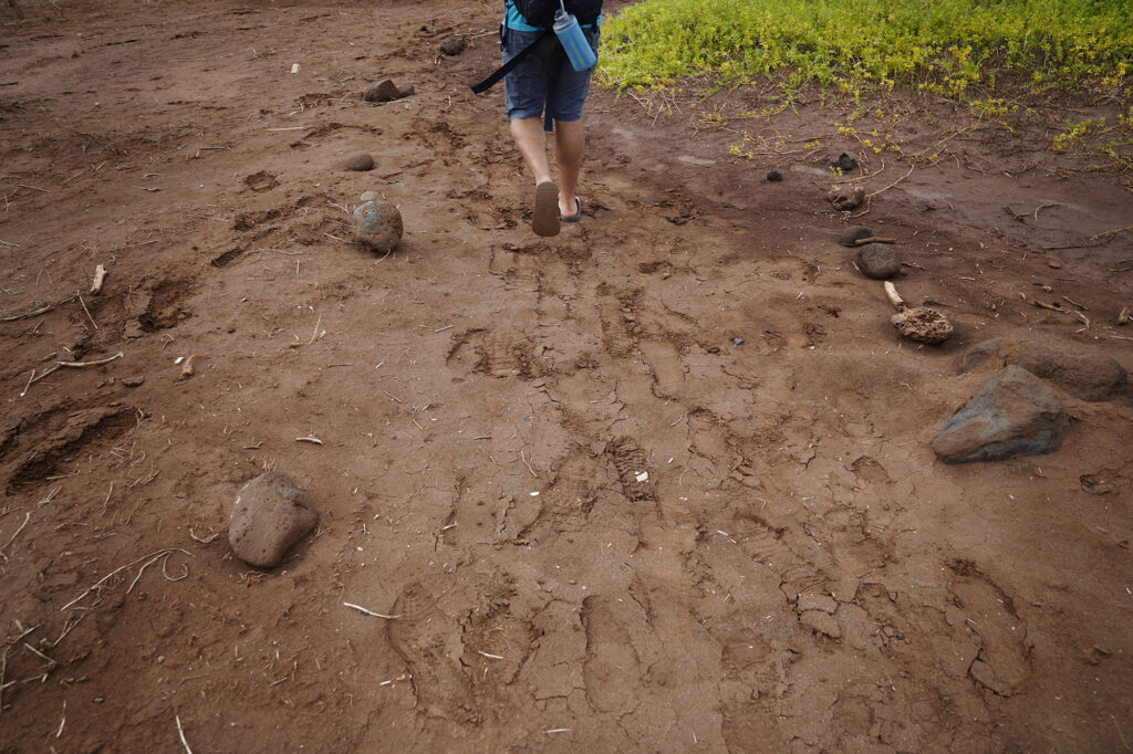Most of the area at Hakioawa has been cleared of unexploded ordnance. Protect Kahoʻolawe ʻOhana (PKO) marks paths to travel on the Target Isle Monday, Jan. 5, 2026, in Hakioawa. PKO celebrates the 50th year of sovereign land. (Kevin Fujii/Civil Beat/2026)