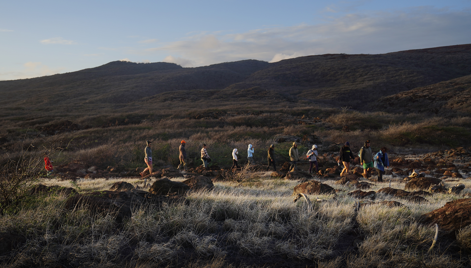 The sun illuminates the Protect Kahoʻolawe ʻOhana (PKO) as they walk to another heiau after the protocol for sunrise chant Tuesday, Jan. 6, 2026, in Hakioawa. PKO celebrates the 50th year of sovereign land. (Kevin Fujii/Civil Beat/2026)