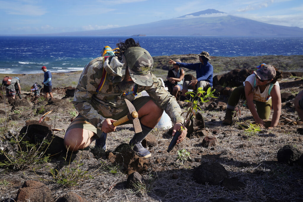 Protect Kahoʻolawe ʻOhana (PKO) Kainoa Pestana plants native vegetation on the hillside on the Hawaiʻi Island side of camp Tuesday, Jan. 6, 2026, in Hakioawa. This site was chosen for planting to prevent erosion and allow the tradwinds to carry seeds toward camp. Haleakalā and Molokini sit across the ʻAlalākeiki Channel. (Kevin Fujii/Civil Beat/2026)