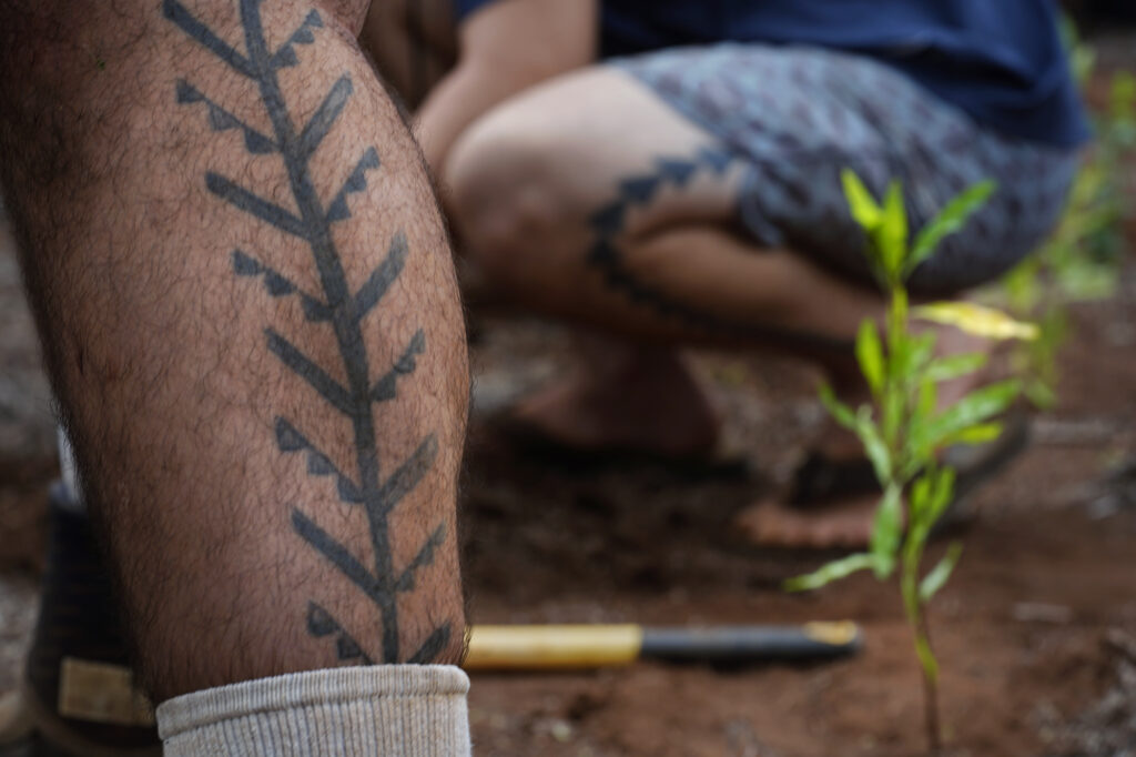 A tattoo mimics new native plants during a Protect Kahoʻolawe ʻOhana (PKO) access Monday, Jan. 5, 2026, in Hakioawa. PKO celebrates the 50th year of sovereign land. (Kevin Fujii/Civil Beat/2026)