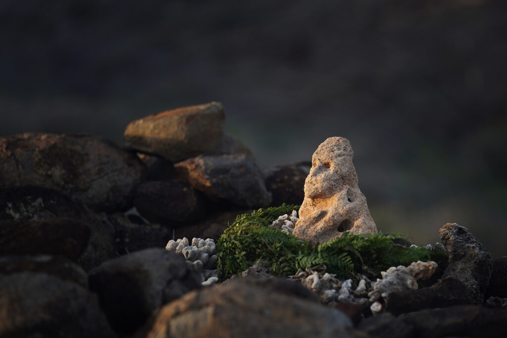 Akua A‘ia‘i looks toward Maui as Protect Kahoʻolawe ʻOhana (PKO) Davianna Pomaika‘i McGregor describes his history Tuesday, Jan. 6, 2026, in Hakioawa. “Akua Aʻiaʻi was brought to Hakioawa, Kahoʻolawe, by Kahuna Sam Lono for the February 13, 1976, ʻaha ceremony to cleanse the land of the military abuse and open the connection of what became the Protect Kahoʻolawe ʻOhana to the spirits of the land, asking their permission to open a relationship of protection for the ʻāina.” McGregor wrote in an email. “He was taken by military personnel in 1977 and then turned over to the Bishop Museum, which recently returned him to the Protect Kahoʻolawe ʻOhana. This kiʻi is brought out when the ʻOhana is present at the site.” (Kevin Fujii/Civil Beat/2026)