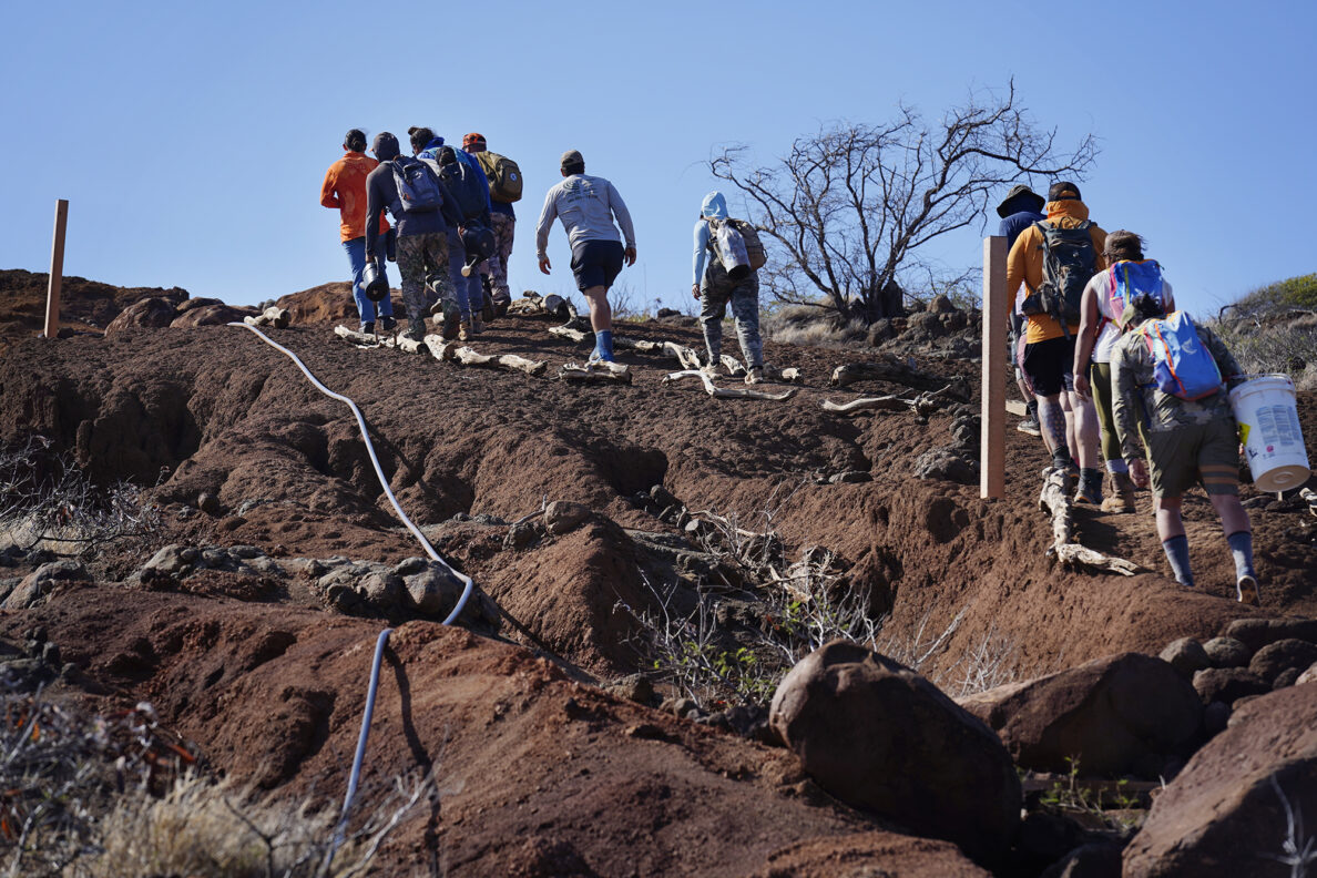 Protect Kahoʻolawe ʻOhana (PKO) climb mauka on a trail built in areas cleared of unexploded ordnance (UXO) Tuesday, Jan. 6, 2026, in Hakioawa. PKO celebrates the 50th year of sovereign land. (Kevin Fujii/Civil Beat/2026)