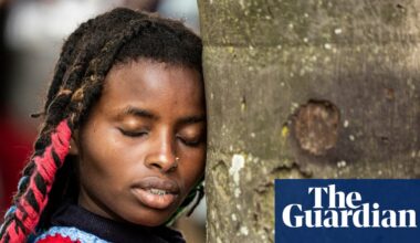 EU legislation intended to fight deforestation has been effectively ‘dismantled’ | Deforestation