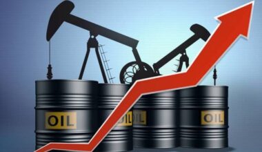 Oil prices decline despite the winter storm in the United States