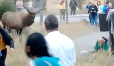 Yahoo lifestyle home