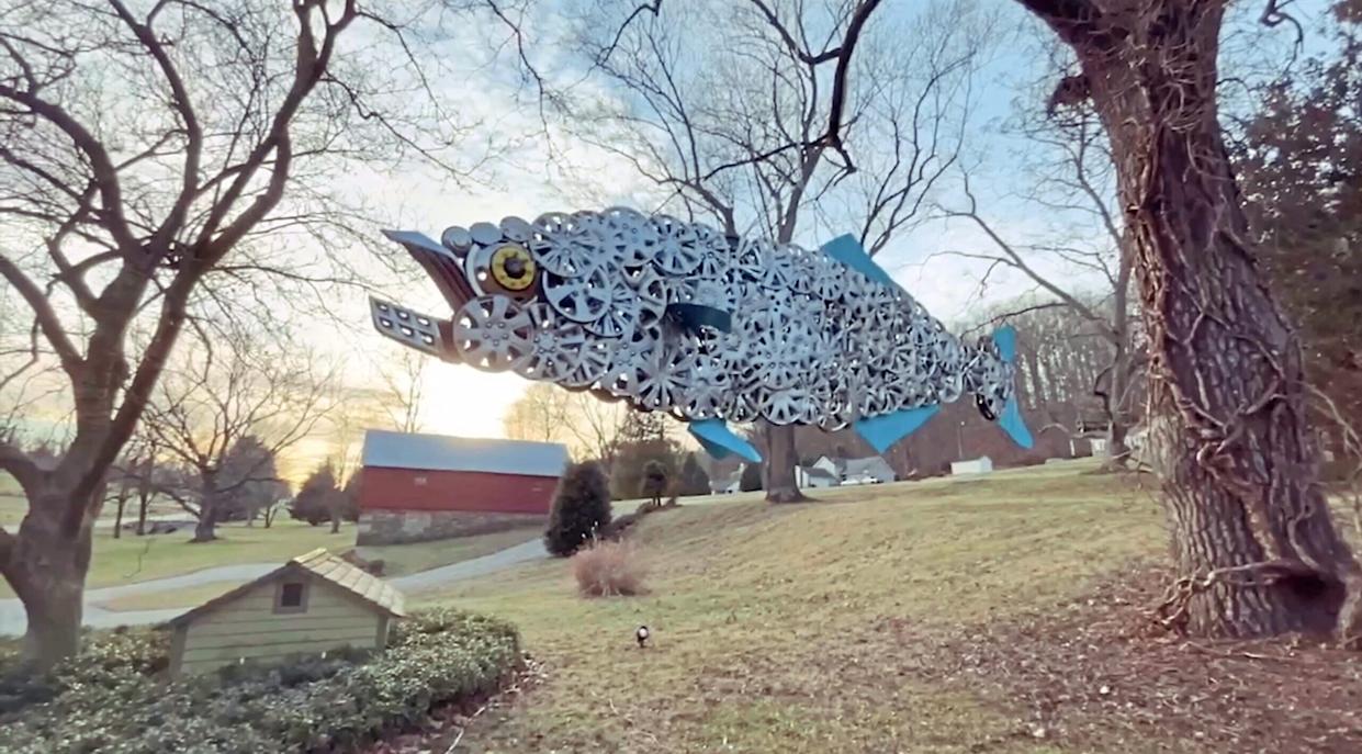  <span class="wp-caption-text">WMAR-2/YouTube</span>