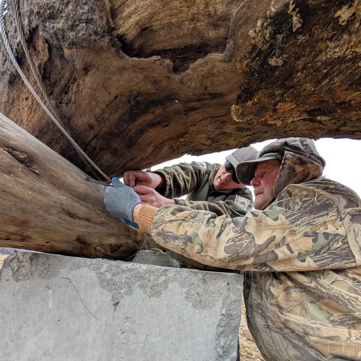 Staff’s goal to to turn a nuisance into something to improve fishing. (KDFWR)