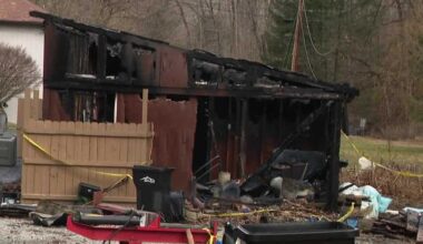 Bowser's Dog Services in Westmoreland catches fire: 6 dogs killed