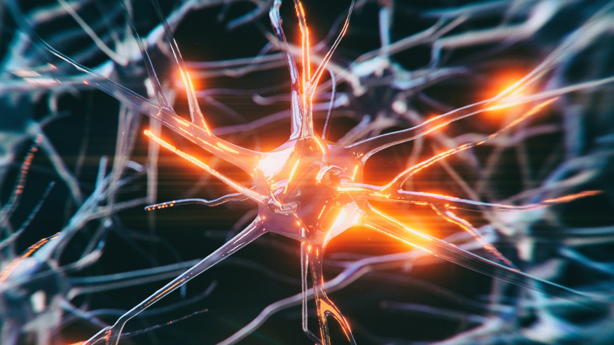 The Sad Case of The Youngest Person Ever to Be Diagnosed With Alzheimer's : ScienceAlert