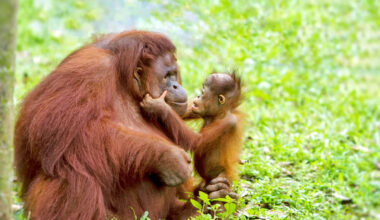 Yahoo lifestyle home