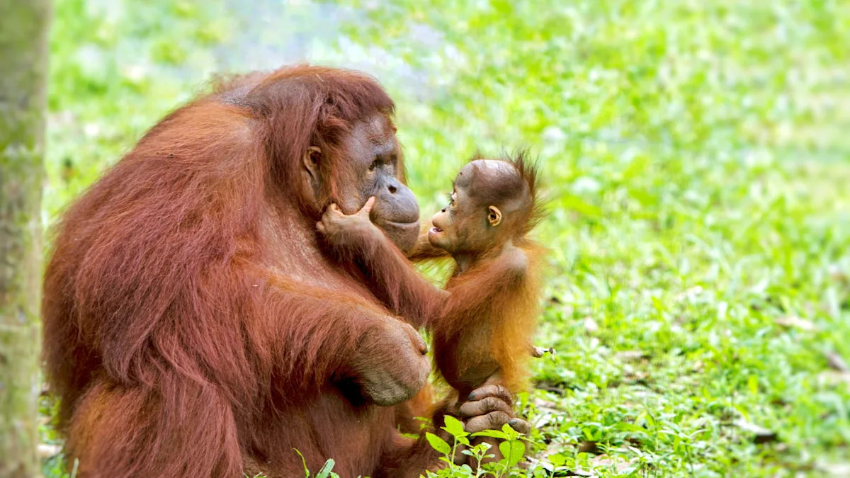 Yahoo lifestyle home