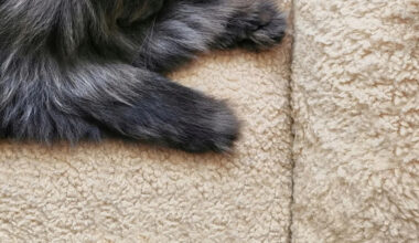 Yahoo lifestyle home