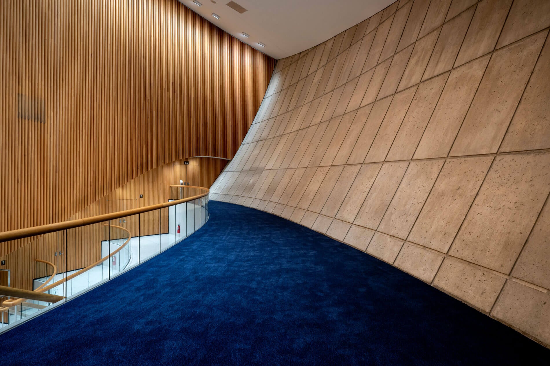 new carpeting at the egg