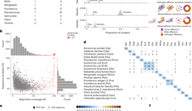 Effector–host interactome map links type III secretion systems in healthy gut microbiomes to immune modulation