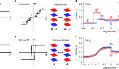Ferromagnet-like binary switching of a Stoner–Wohlfarth antiferromagnet