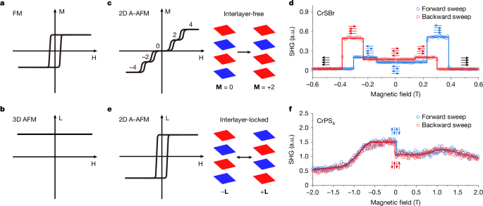 Ferromagnet-like binary switching of a Stoner–Wohlfarth antiferromagnet