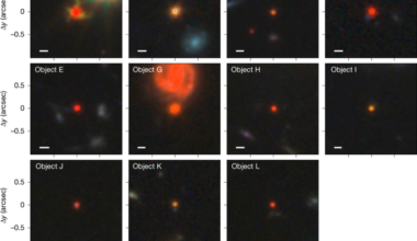 Little red dots as young supermassive black holes in dense ionized cocoons