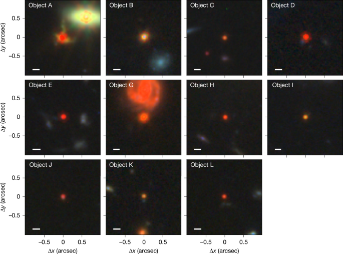 Little red dots as young supermassive black holes in dense ionized cocoons