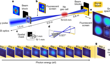 Coherent nonlinear X-ray four-photon interaction with core-shell electrons
