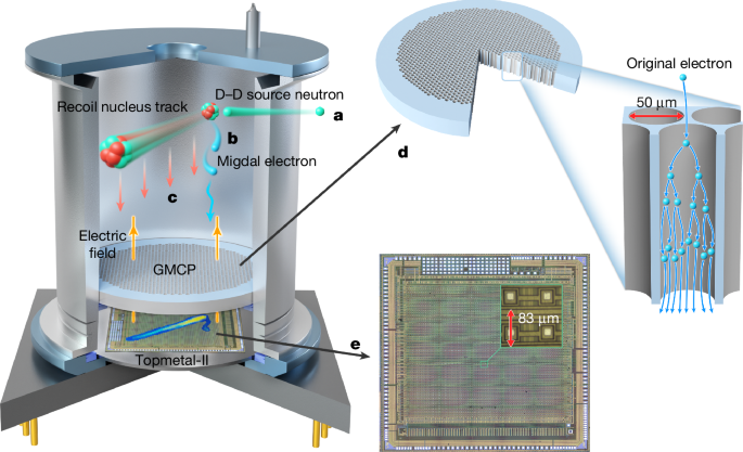 Direct observation of the Migdal effect induced by neutron bombardment