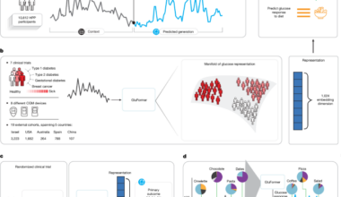 A foundation model for continuous glucose monitoring data