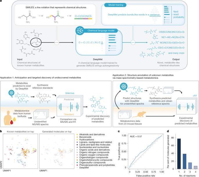 Language model-guided anticipation and discovery of mammalian metabolites