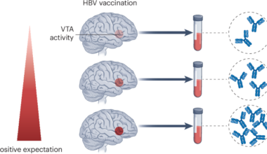 Placebo effect influences vaccine responses - Nature