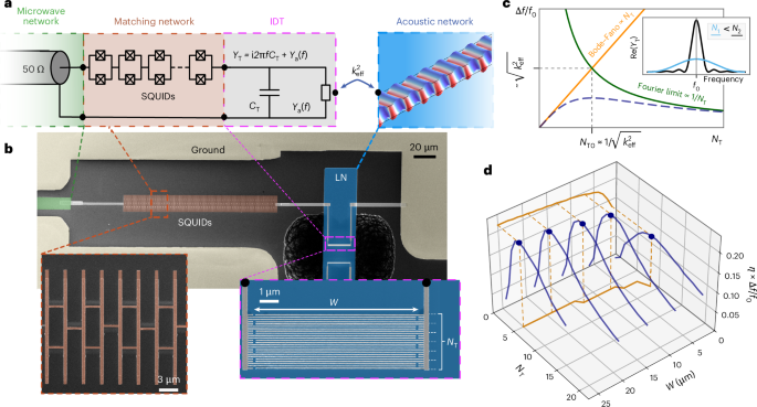 Approaching optimal microwave–acoustic transduction on lithium niobate using superconducting quantum interference device arrays