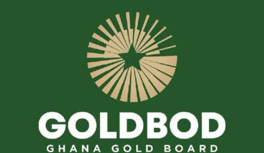 IERPP warns of economic recklessness over alleged GH¢2bn GoldBod guarantee