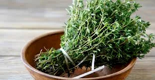 Thyme Enters the Era of Modern Medicine