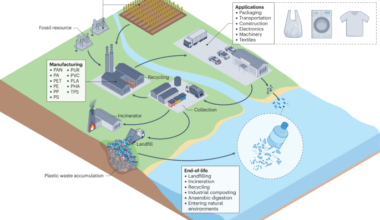 The role of biodegradable plastics in the global plastic future