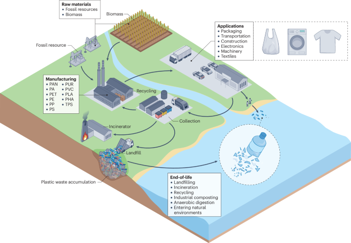 The role of biodegradable plastics in the global plastic future