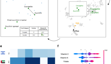 NutriMatch: harmonizing food composition databases with large language models for enhanced nutritional prediction