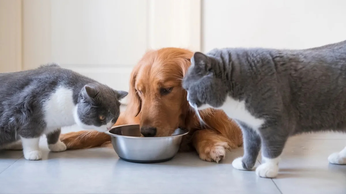 Yahoo lifestyle home