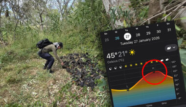 Dire prediction during five-hour window of extreme heat: 'Dead everywhere'