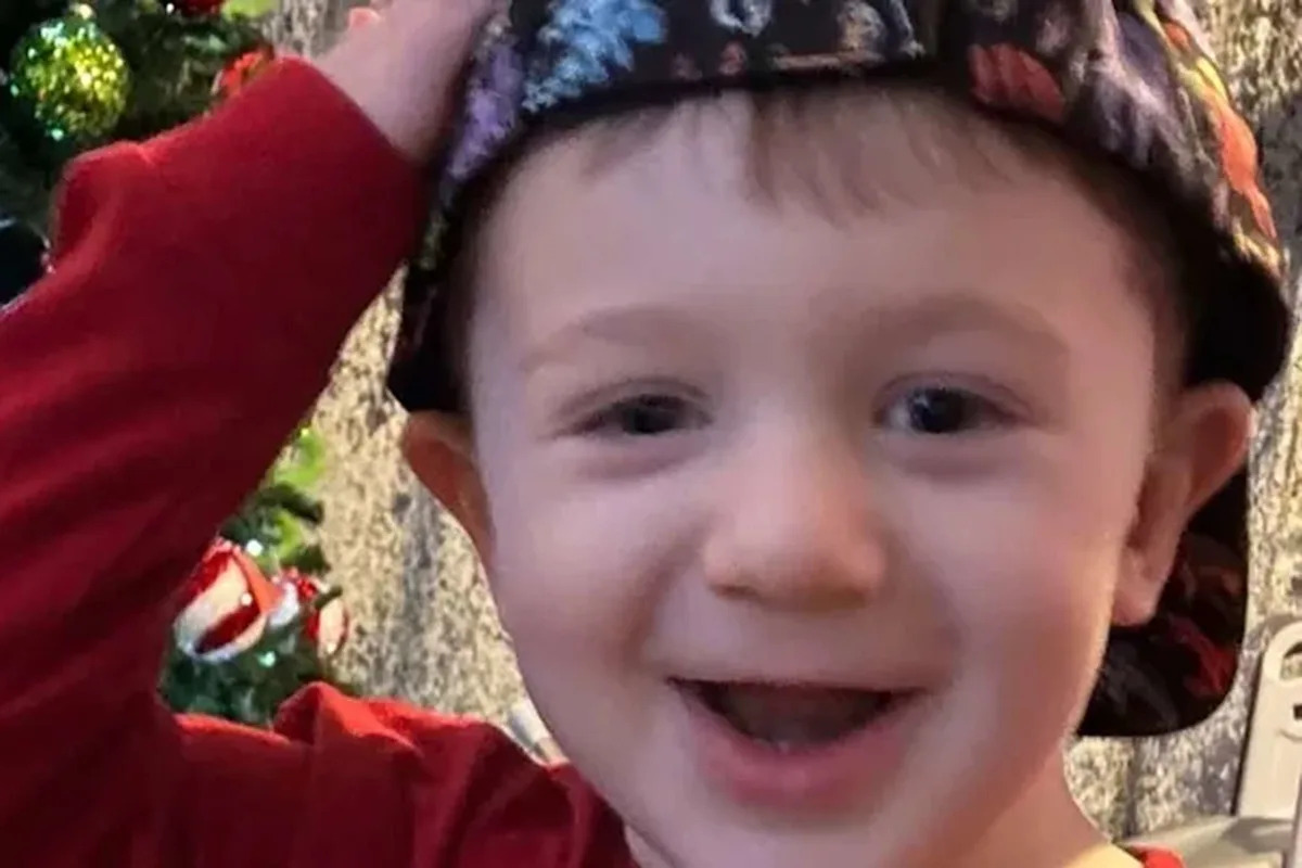 Boy, 2, Dies Suddenly from Rare Disease with Flu-Like Symptoms, Weeks Before His Birthday: He 'Had the Biggest Personality'