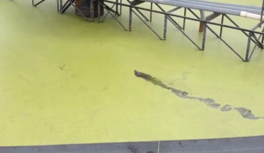 Yahoo lifestyle home