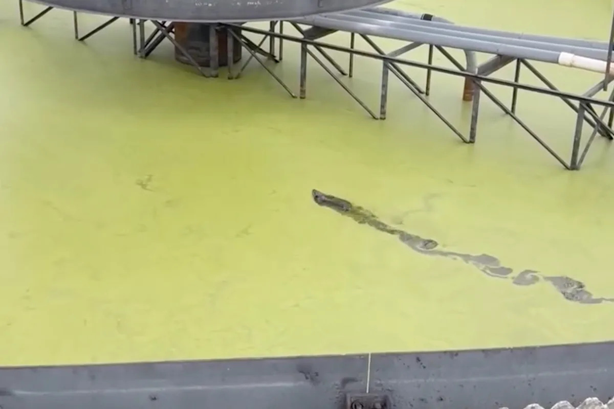 Yahoo lifestyle home