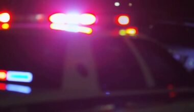 Demopolis teenager killed in crash